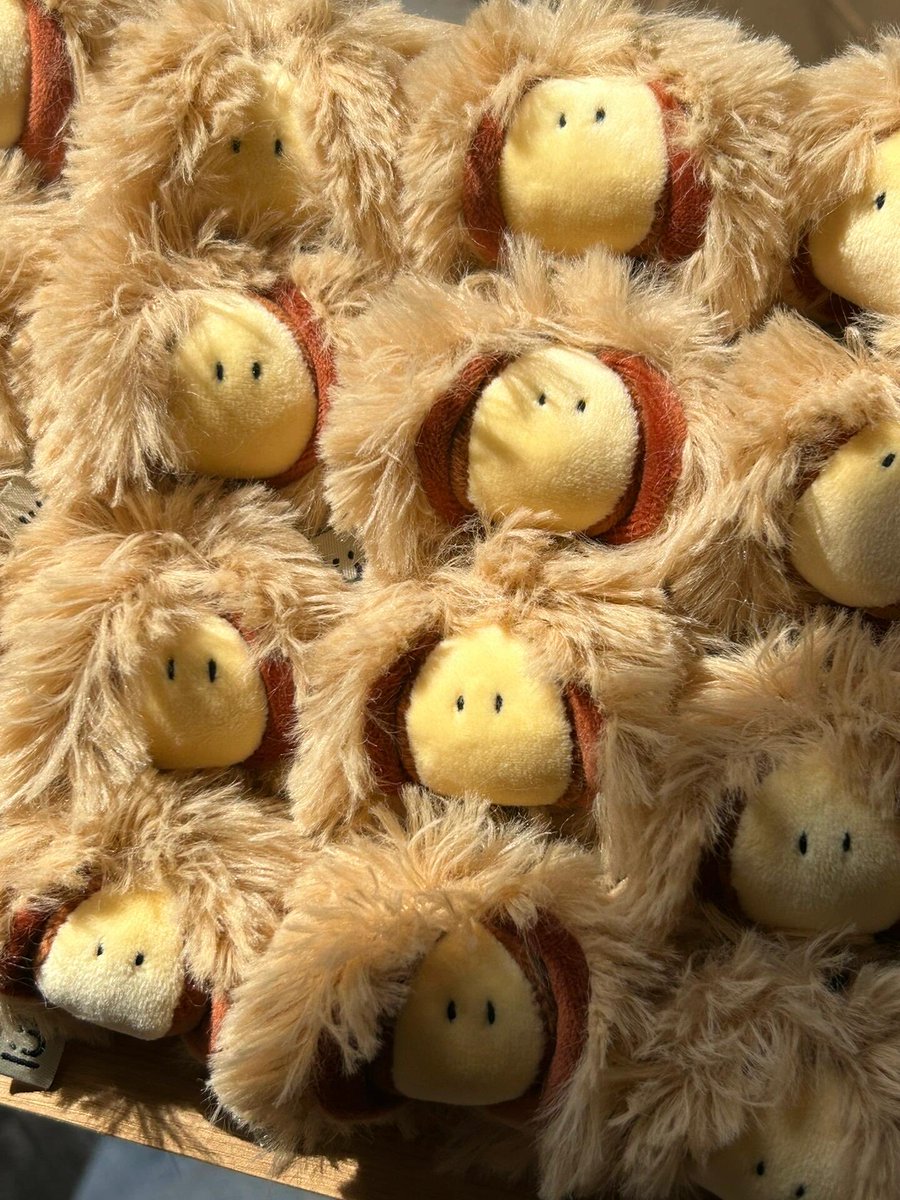 Ludo_Studio_'s tweet image. "Who's that little bald cutie?"
Oh, that's just our Baldy Chestnut 🌰🤎#handmade #plush #keychains