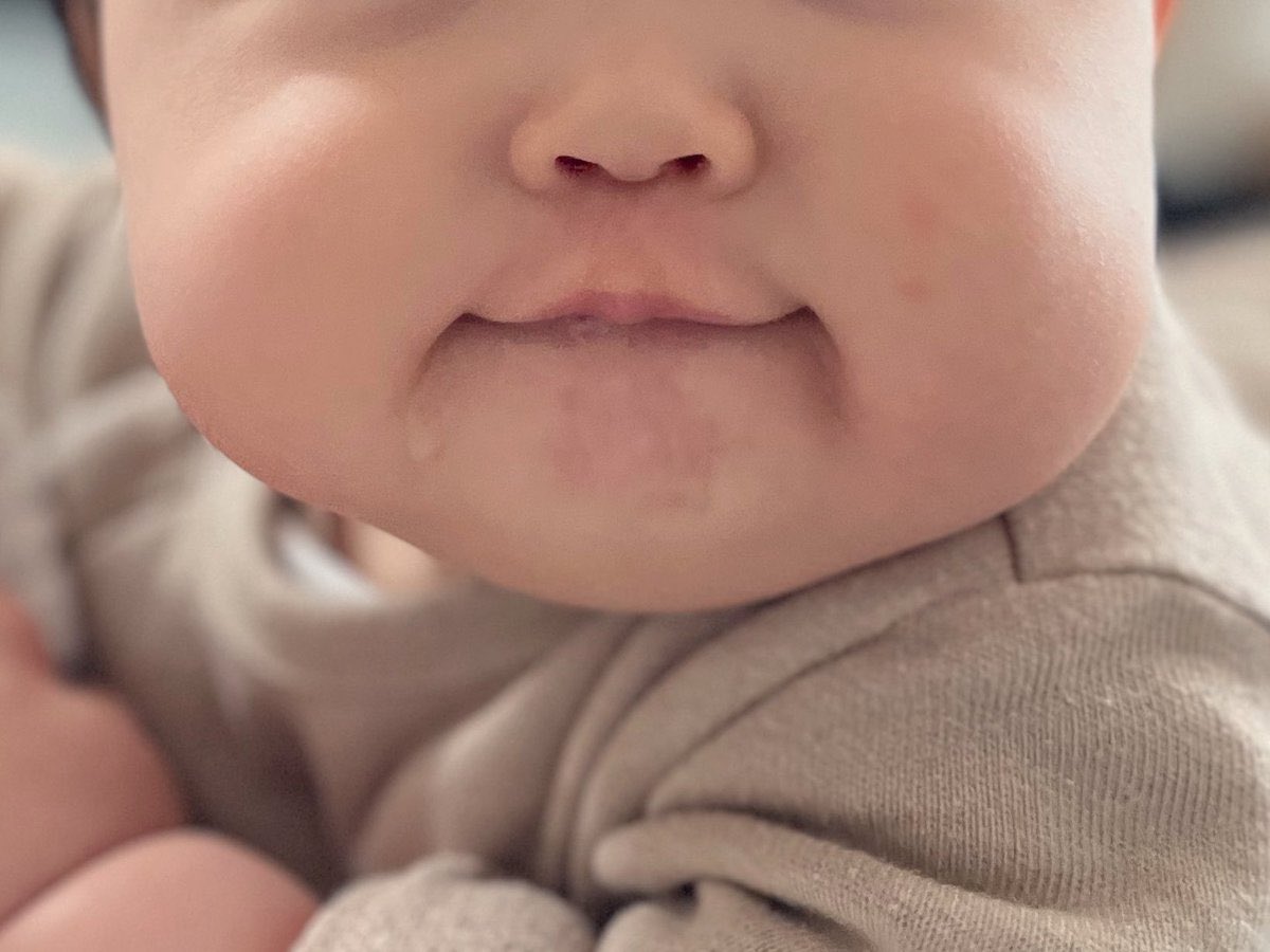 ちゅるた🦔 tweet media