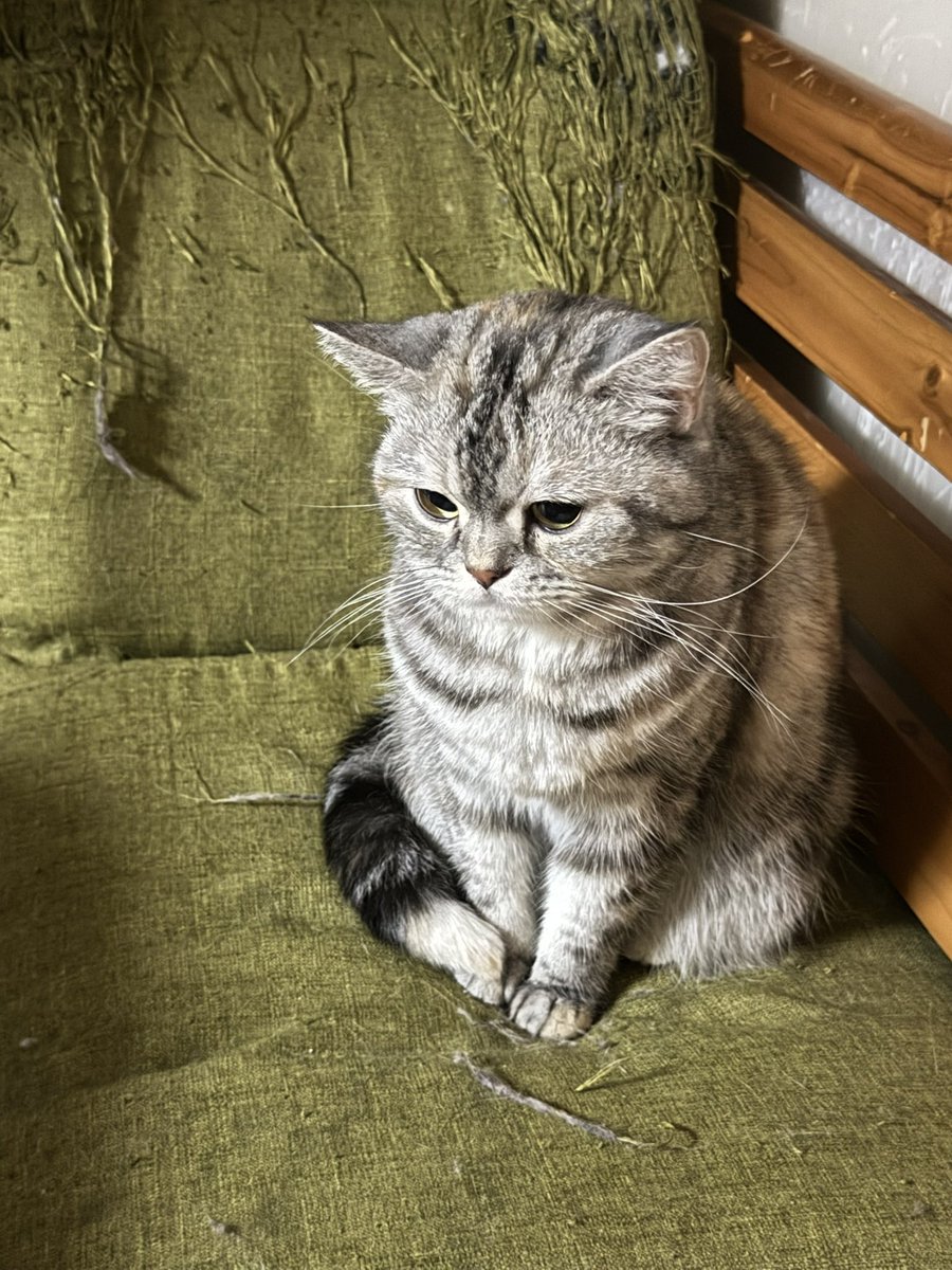 まそっぷ tweet media