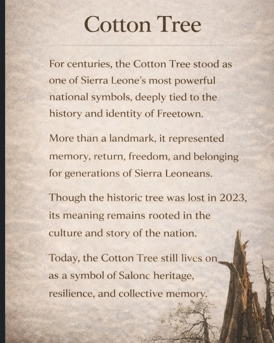 InkTrivon's tweet photo. Long live Sierra Leone 🇸🇱 https://t.co/eD3Gqybevc
