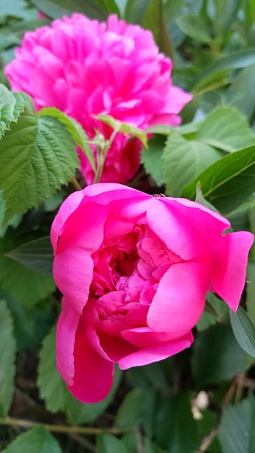 Jennifer Alexander tweet media