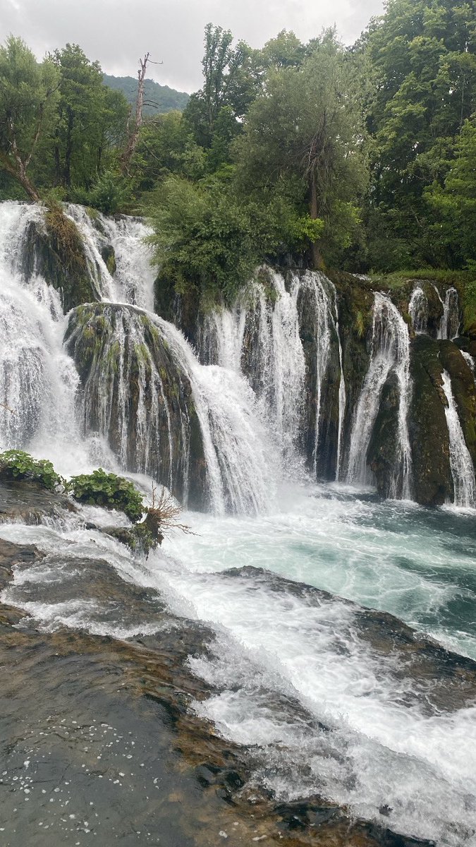 أبو لميس tweet media