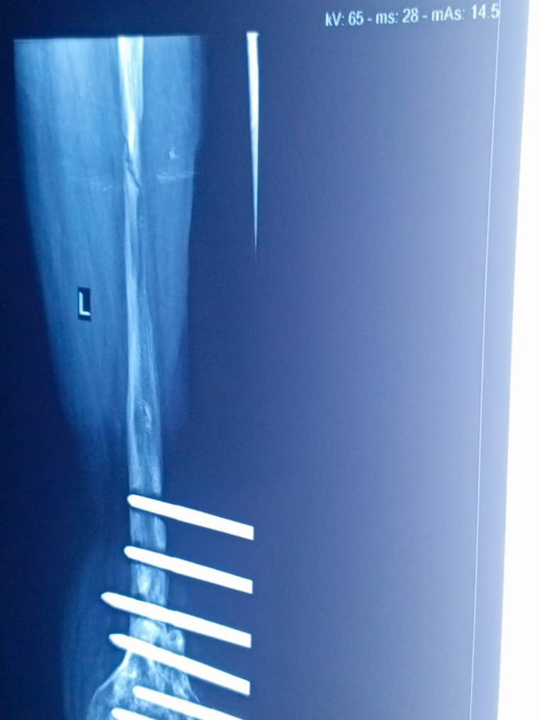 Idanssssssss tweet media