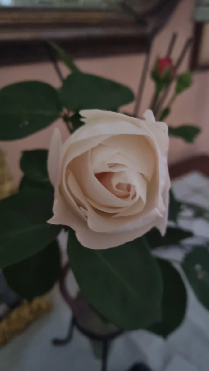 My Head Is A Jungle tweet media