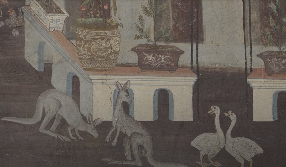 ภาพจิตรกรรมฝาผนัง วัดโสมนัสราชวรวิหาร ว่าด้วยสัตว์ที่ชื่อว่า จิงโจ้ เป็นหลักฐานที่สามารถยืนยันไ้ด้ว่าจิงโจ้มีให้ชมในสยามประเทศตั้งแต่สมัยรัชกาลที่ ๔ ซึ่งท่านท้วม บุนนาค ได้นำเข้ามาเลี้ยง จึงนับเป็นสัตว์แปลกที่ชาวสยามในยุคนั้นได้พบเห็น และรู้จักกันในนามว่า"กังกูลู"ในภาษาฝรั่งเศส