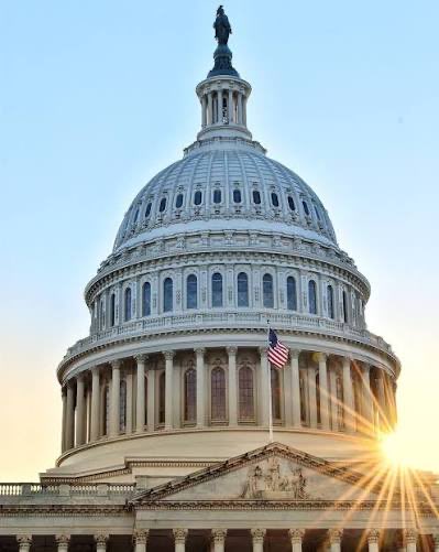 Owen Benjamin 🐻 tweet media