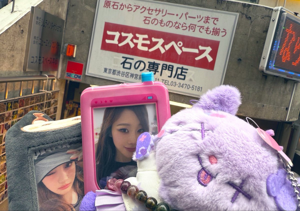 てでぃ tweet media