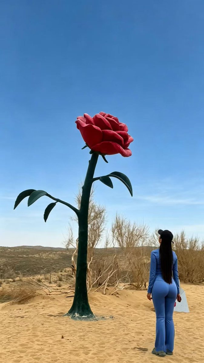 🌸花儿姐💋 tweet media