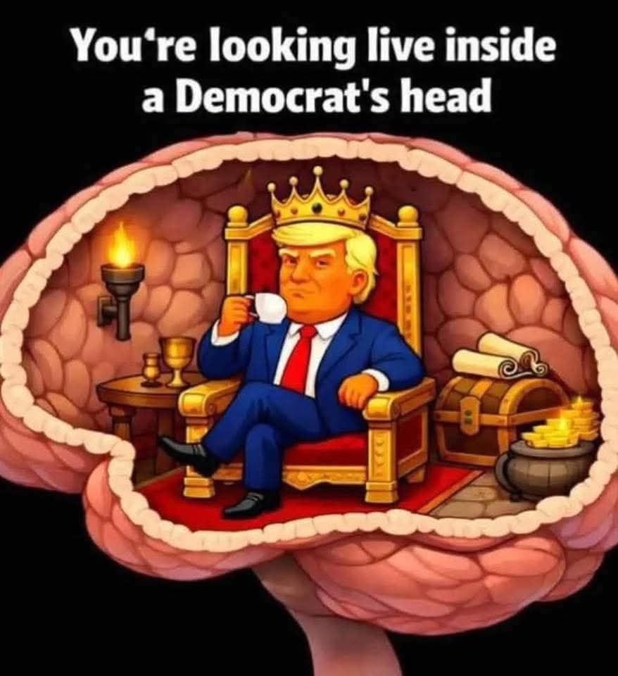 MAGA Established 2016 tweet media