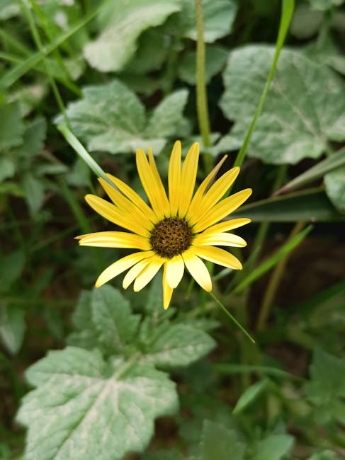 Jonathan Hill tweet media