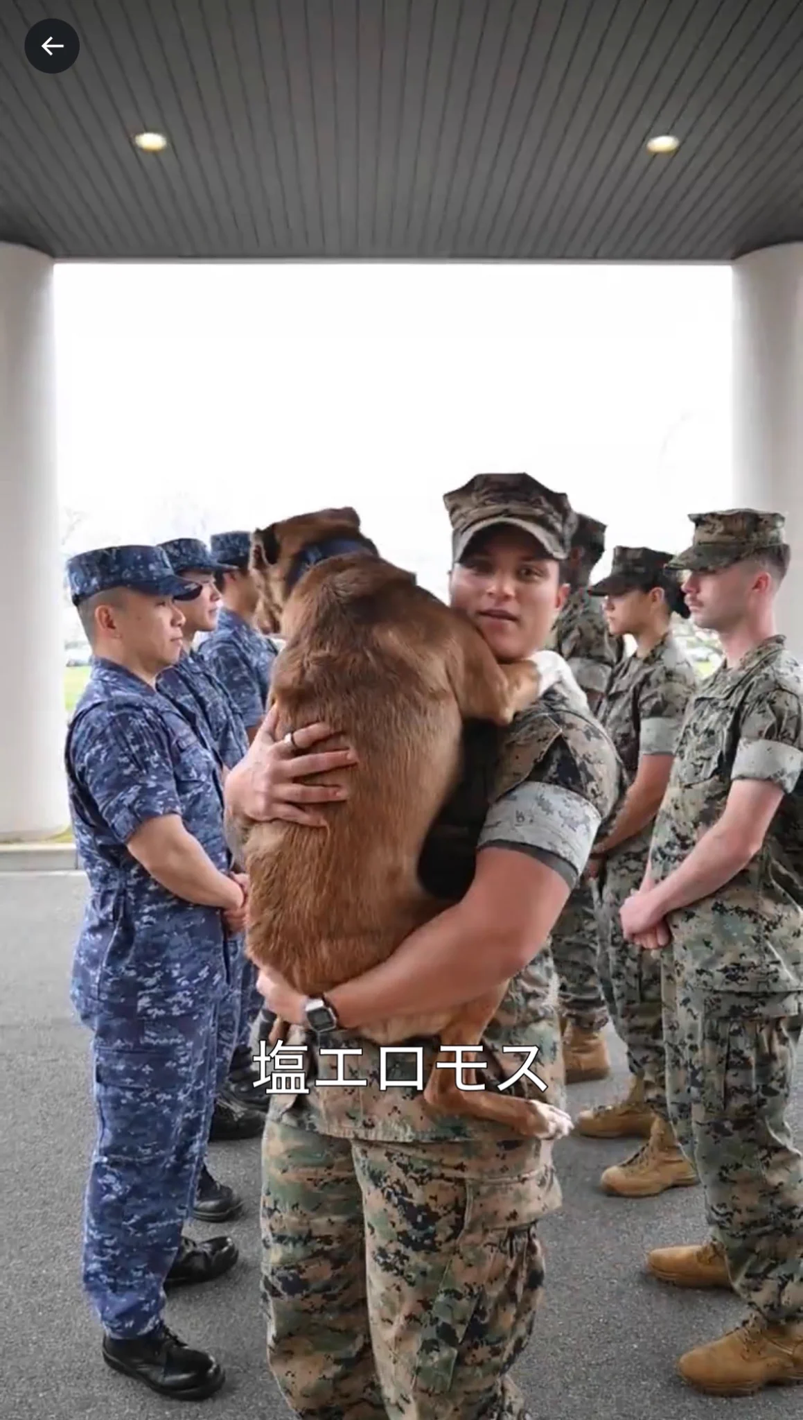 海上自衛隊 岩国航空基地【公式】 on X: 