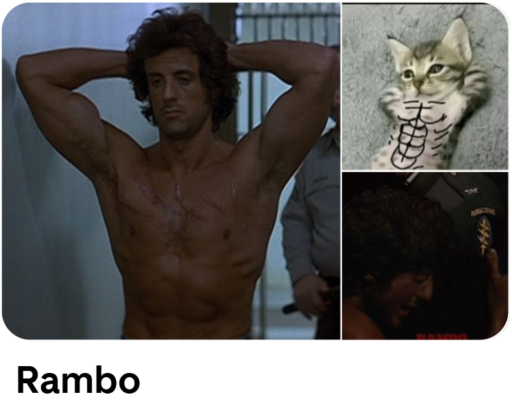 Sharkbait2719's tweet image. Pinterest did it again lmao #Rambo @TheSlyStallone