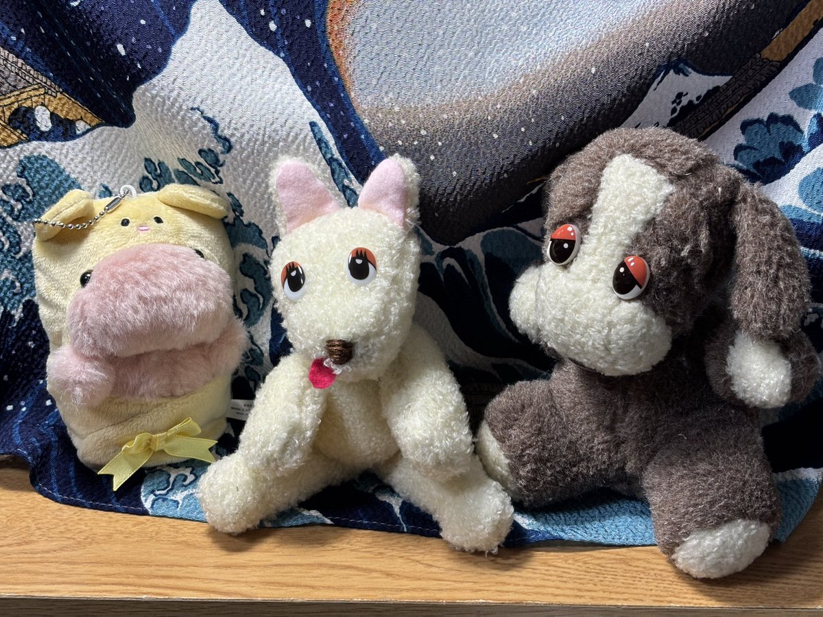 新しいおともだちです🐶