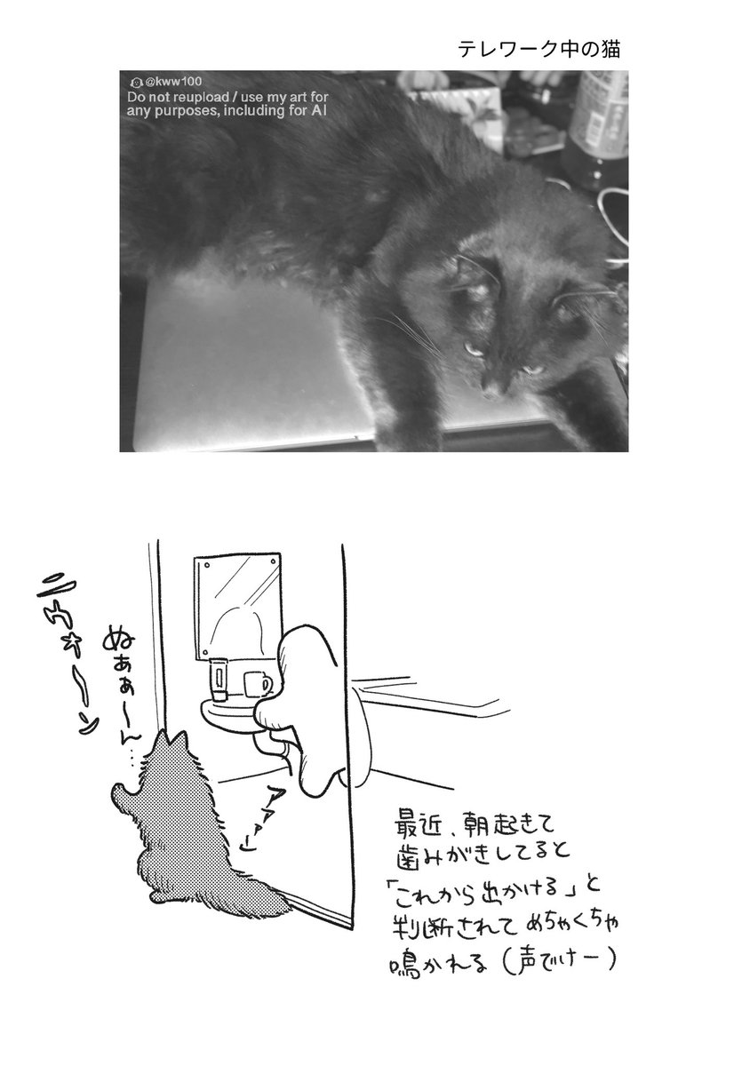 今東ともよ tweet media