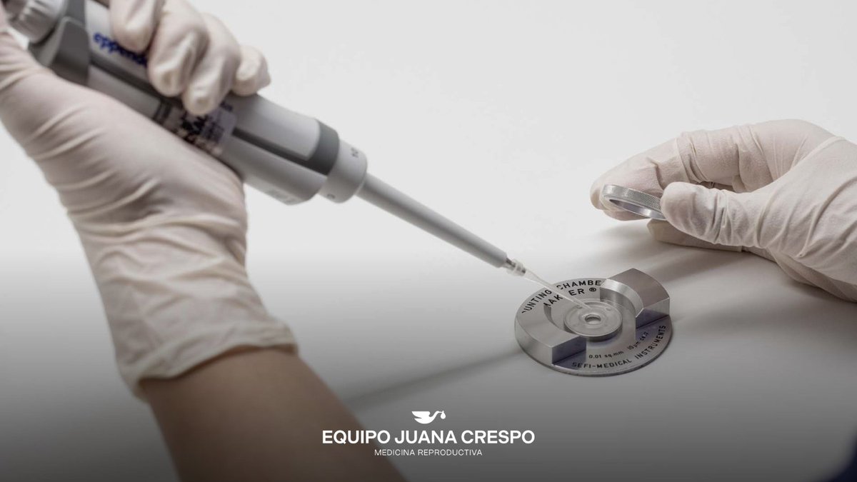 Equipo Juana Crespo tweet media