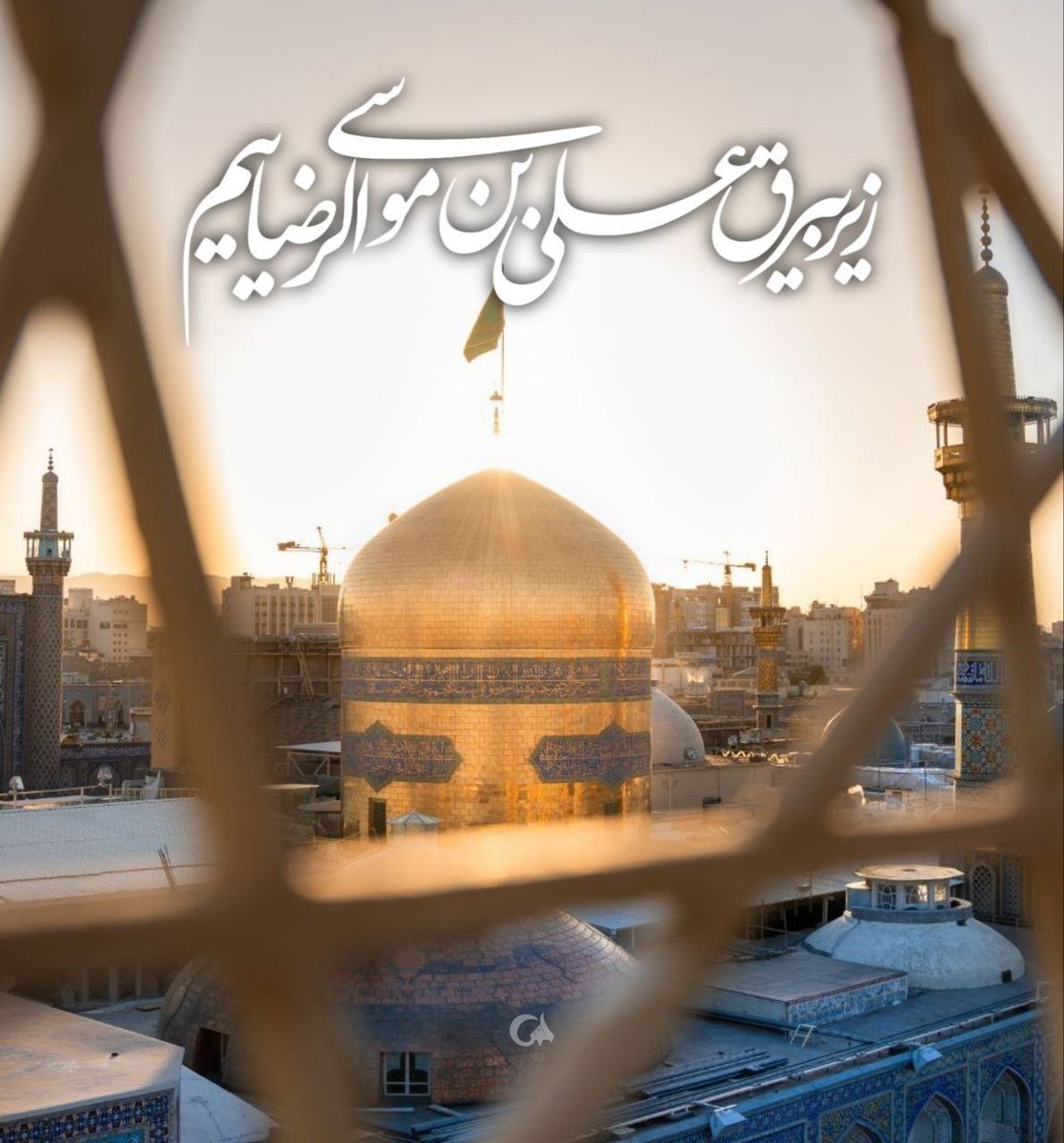 77montazer99's tweet photo. زیر بیرق علی بن موسی الرضائیم 
دهه کرامت امسال گره خورده زیر بیرق پرچم انقلاب اسلامی مبنی بر عهد بیعت با سید مجتبی خامنه ای و گرامیداشت رهبر شهید.
#ایران_امام_رضا
#از_تهران_سلام https://t.co/cXphEXVI18