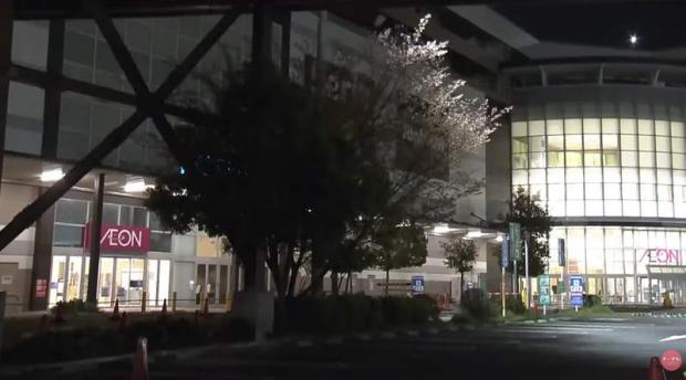 ライブドアニュース tweet media