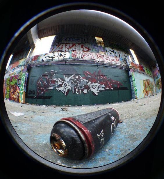 ellen || semi-ia 🤔 tweet media