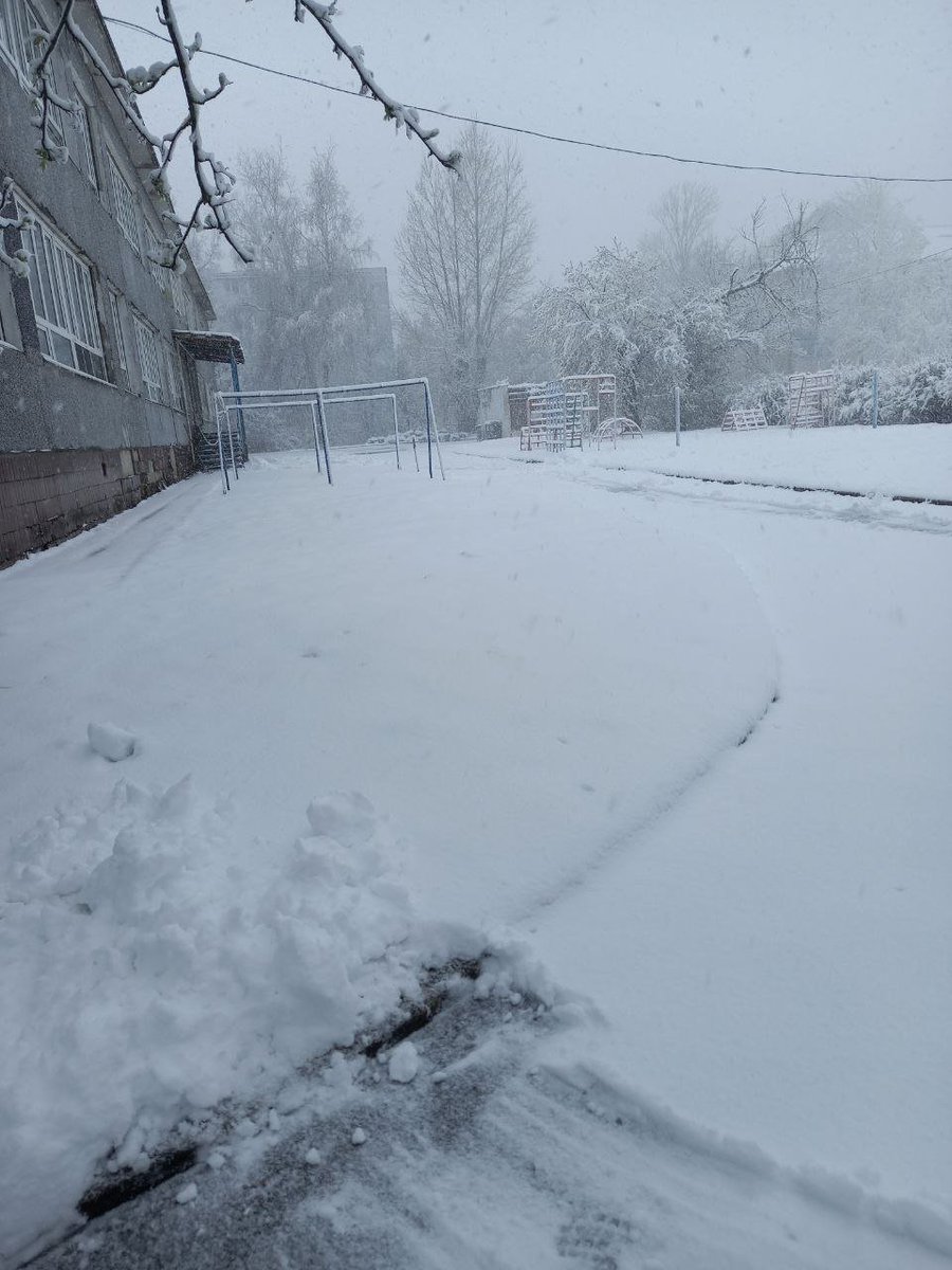 Taski_Guru's tweet image. It's winteeer tale~ (again)
#photo #snowinapril #snow