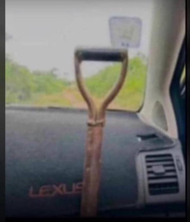 Web3 Flexx.ETH🌐✨ tweet media