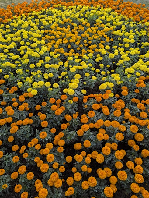 Kelly Ward tweet media