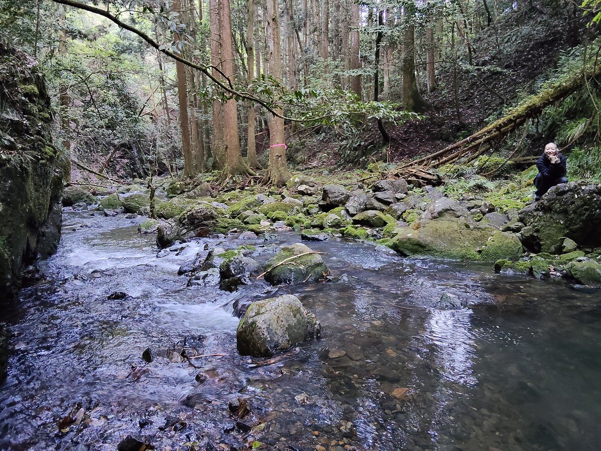 aboutkiyonaka's tweet photo. 今ここ🏞️ https://t.co/IF4CZabpSC