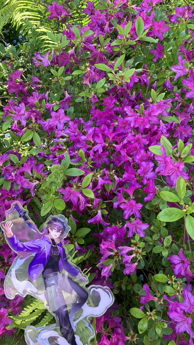 ●⏝● tweet media