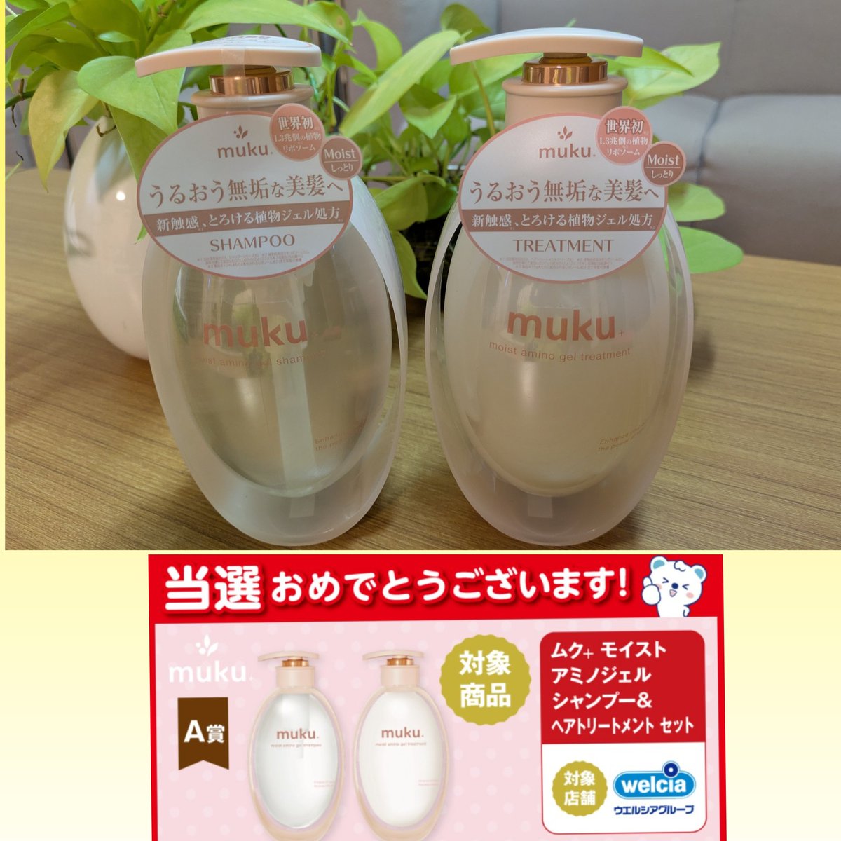 ぴー坊 tweet media