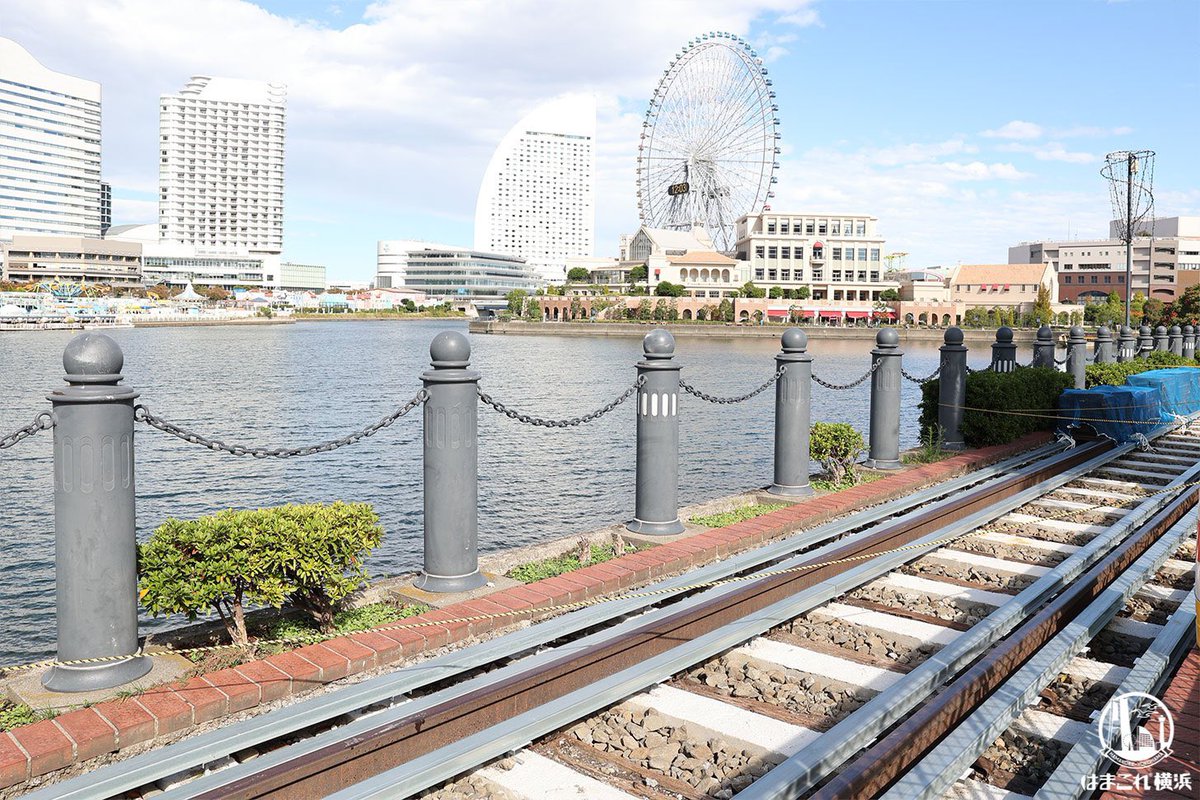 はまこれ®横浜 tweet media