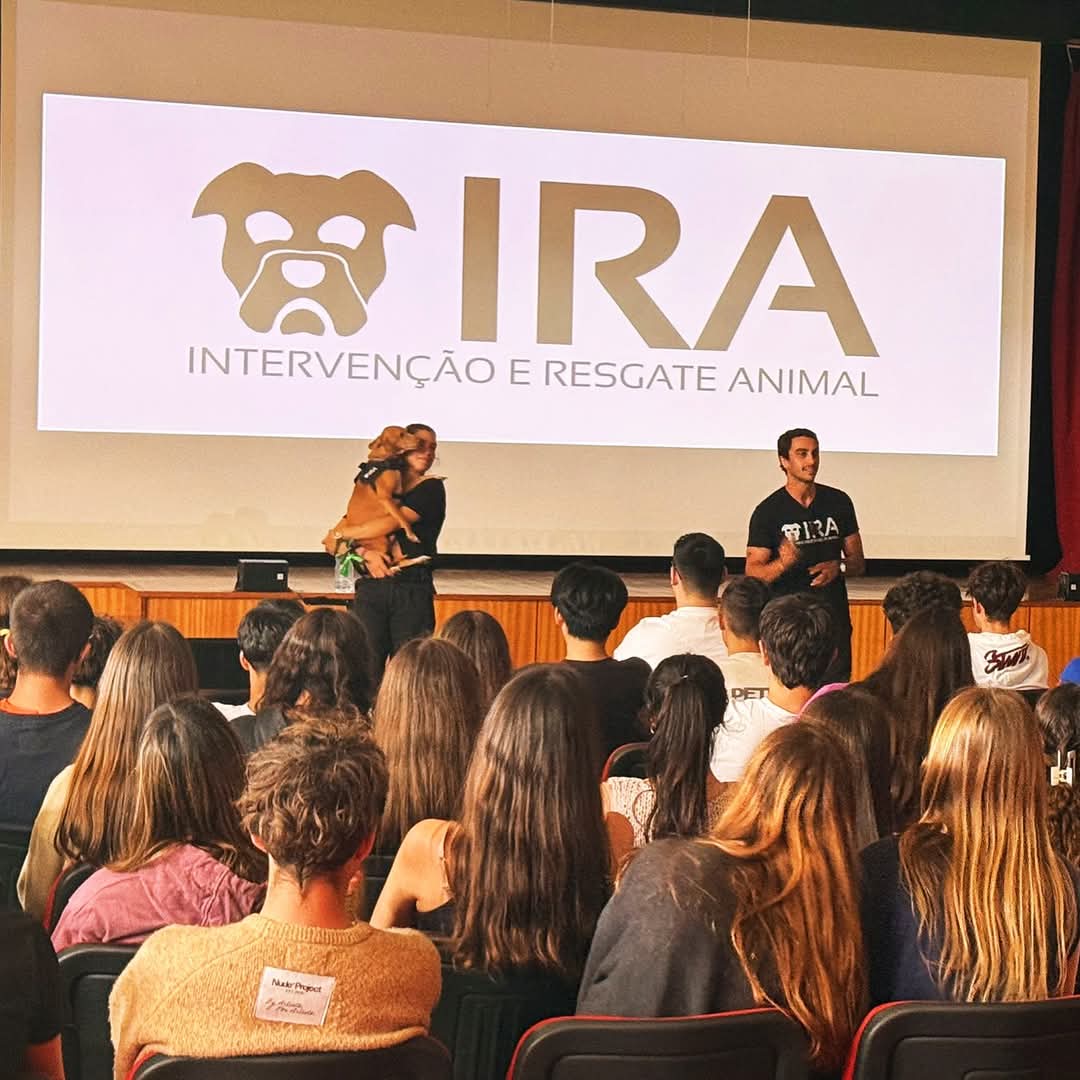 Gitana Gitana tweet media