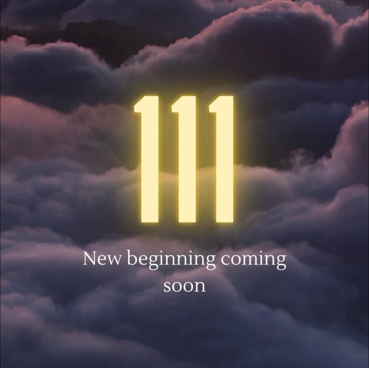 Blossoms🌻 tweet media