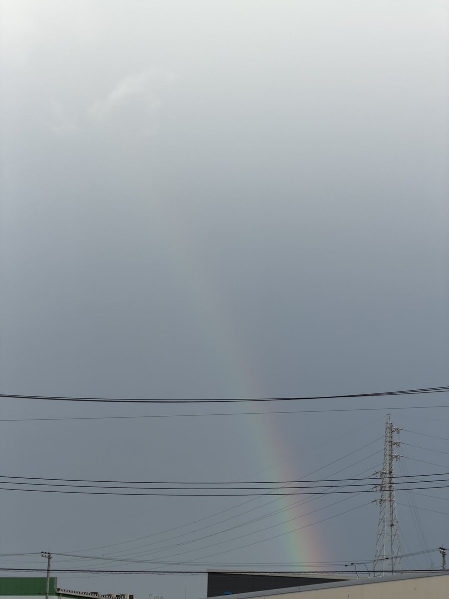 おお、久しぶりに虹を見た🌈