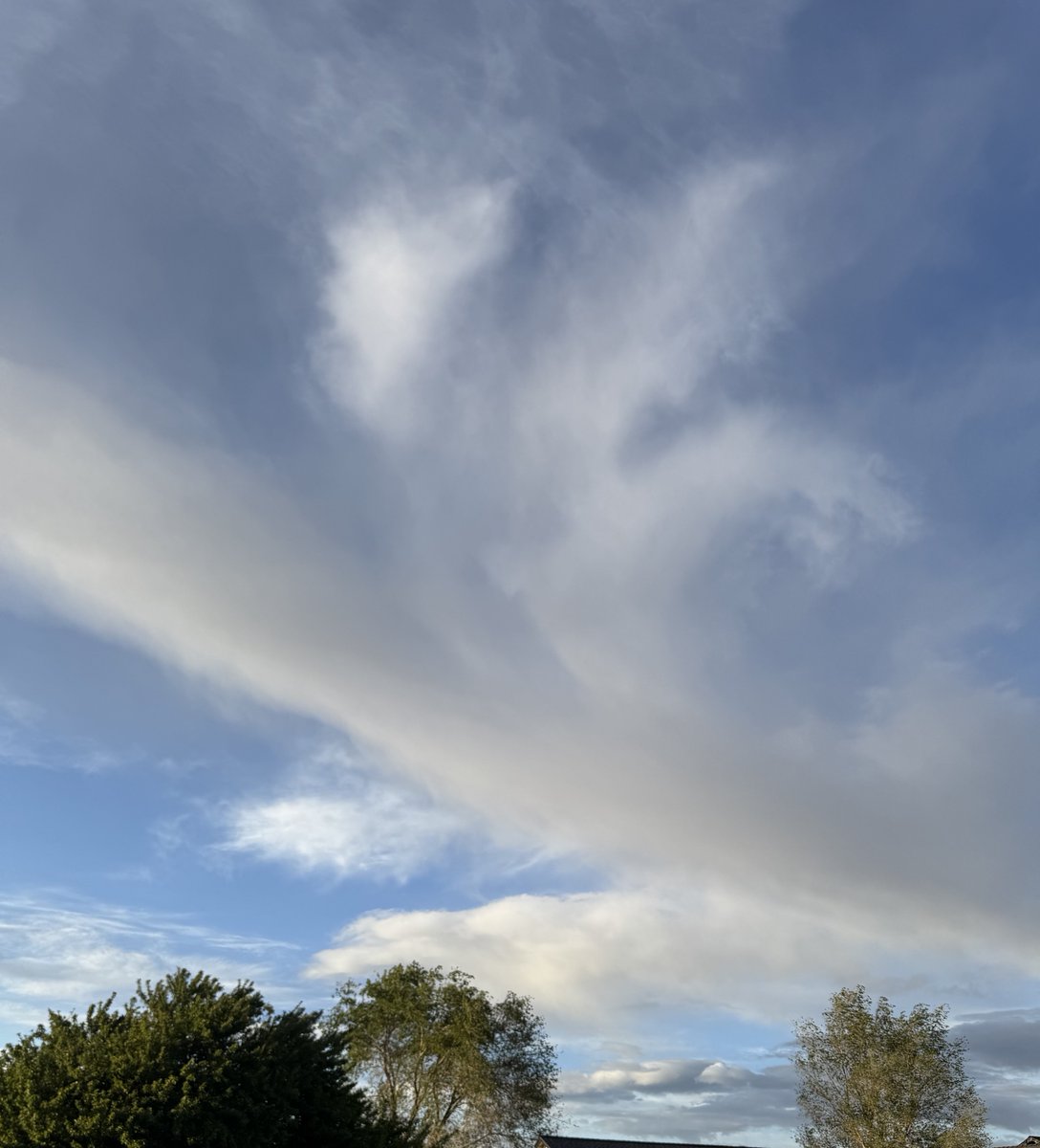 jonimarielew's tweet image. Clouds! #Nevada #desert #clouds #trees #skies