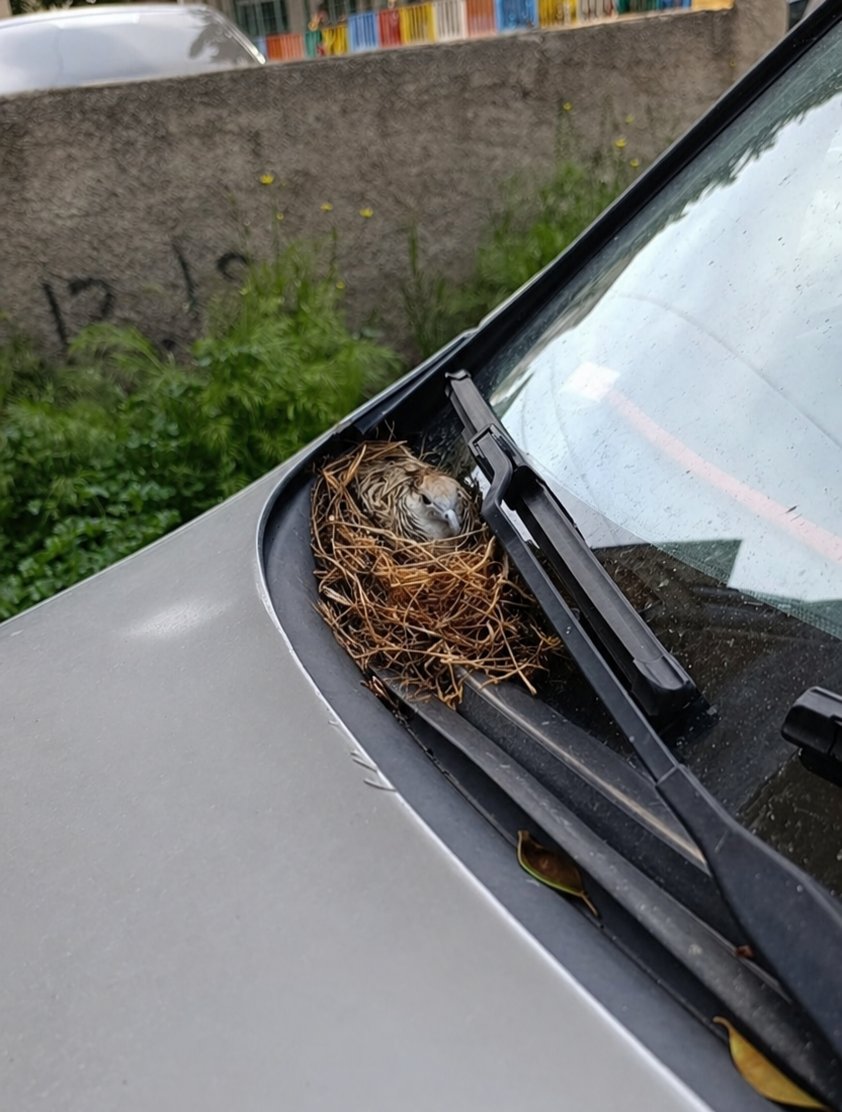 İbrahim tweet media