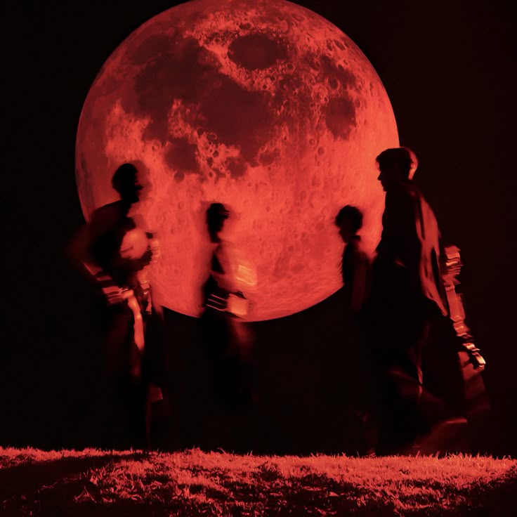 AboutEnhypen tweet media