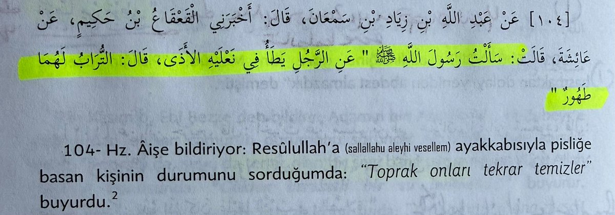 Altay Cem Meriç tweet media