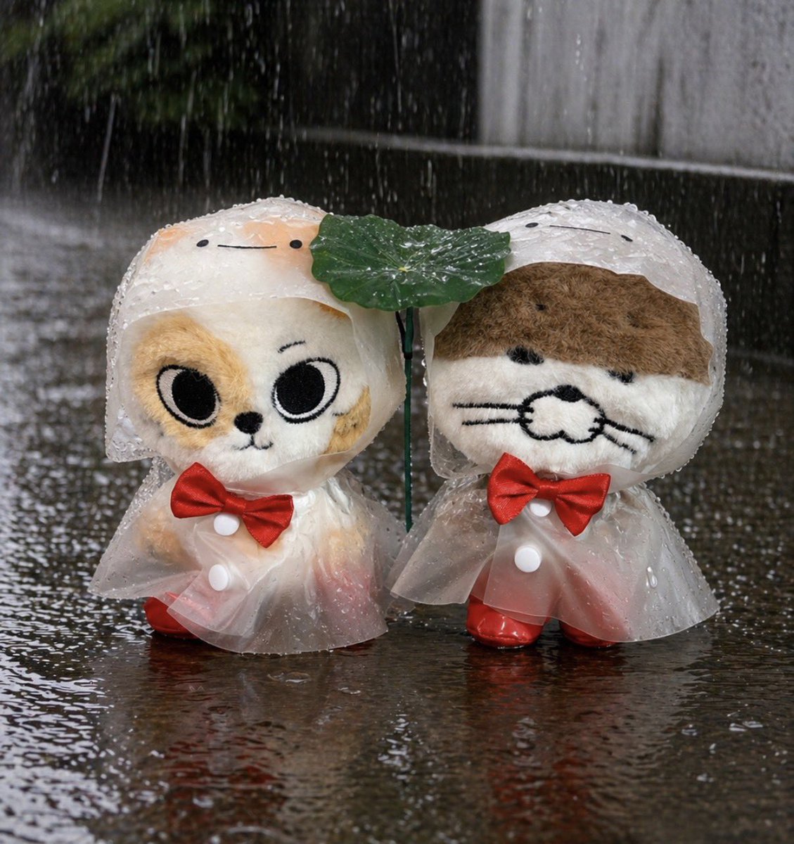 はんぺん🚪 tweet media