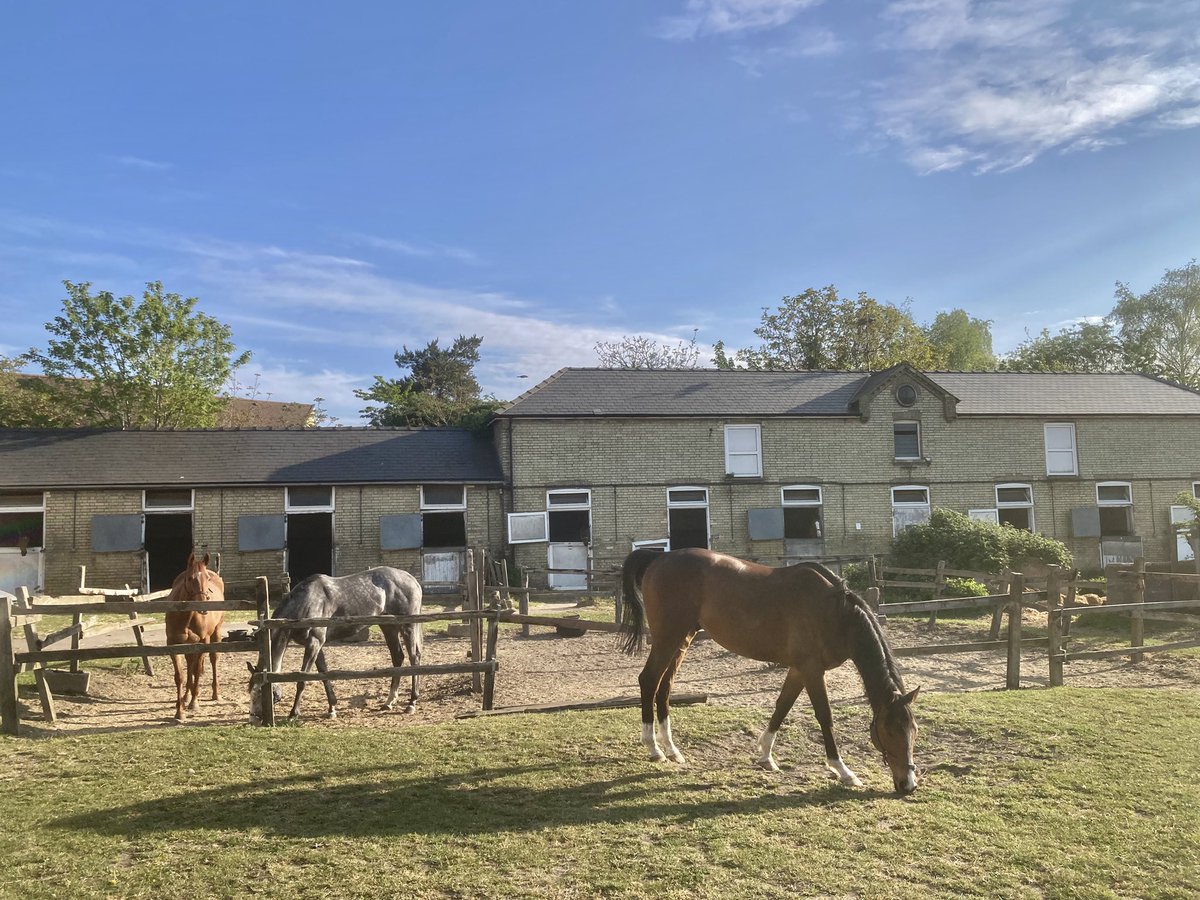JohnWathenBerry's tweet image. Another lovely morning in Newmarket. Hazy sunshine from the outset. And not cold either. 5 degrees at dawn; forecast high 19. Supposedly a chance of some rain this evening but that seems hard to believe just now #HiddenPearl #Clasina #MaithMarOr #Dereham #FlyingStar
