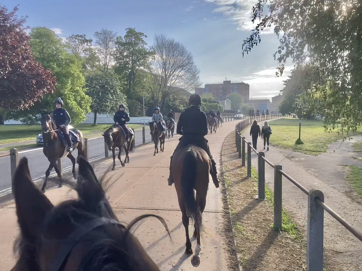 JohnWathenBerry's tweet image. Another lovely morning in Newmarket. Hazy sunshine from the outset. And not cold either. 5 degrees at dawn; forecast high 19. Supposedly a chance of some rain this evening but that seems hard to believe just now #HiddenPearl #Clasina #MaithMarOr #Dereham #FlyingStar