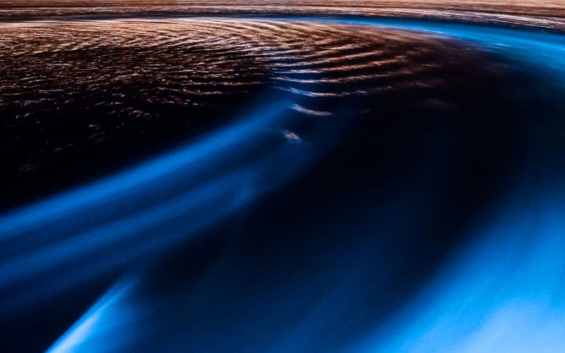 marillion13's tweet image. Glowing Plankton Light the Way
A nighttime kayaking trip leads to a world of one-cell wonders.
Maybe in my dreams, I´m multiply chronic sick, disabled and on German #SocialSecurity.
But I dreamed an absolute nonsense all the time last night. 
sierraclub.org/sierra/glowing…