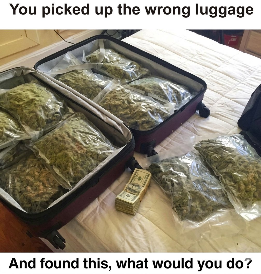 Artek Swaróg🌿💨🇵🇱 tweet media