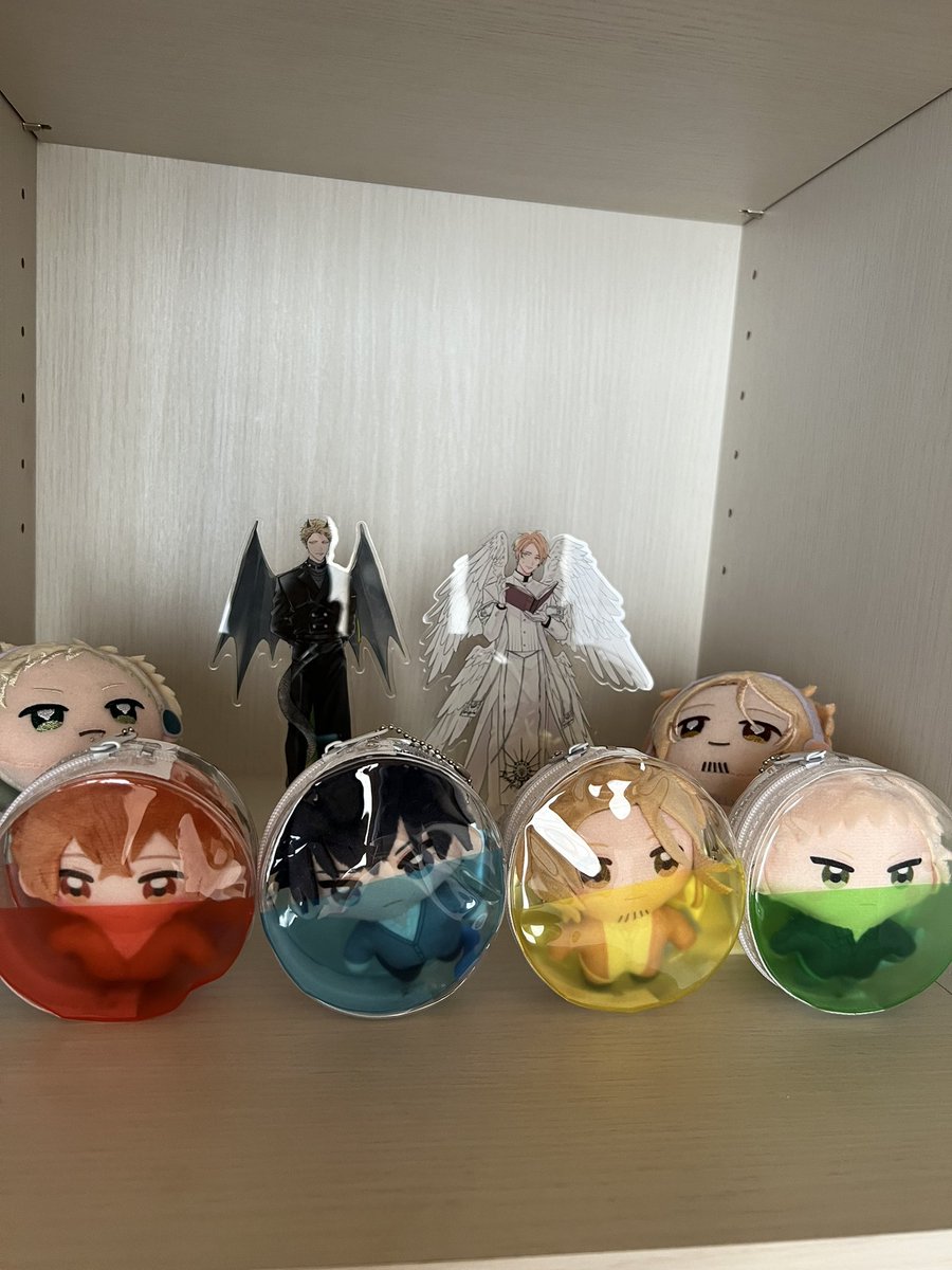 かぷっこを収納するケースが欲しかったのですが、なんだかどちらもちょっと惜しい感じです😅
