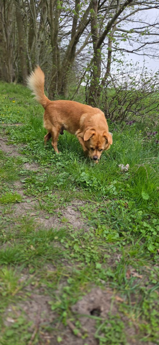 Jessie..... tweet media