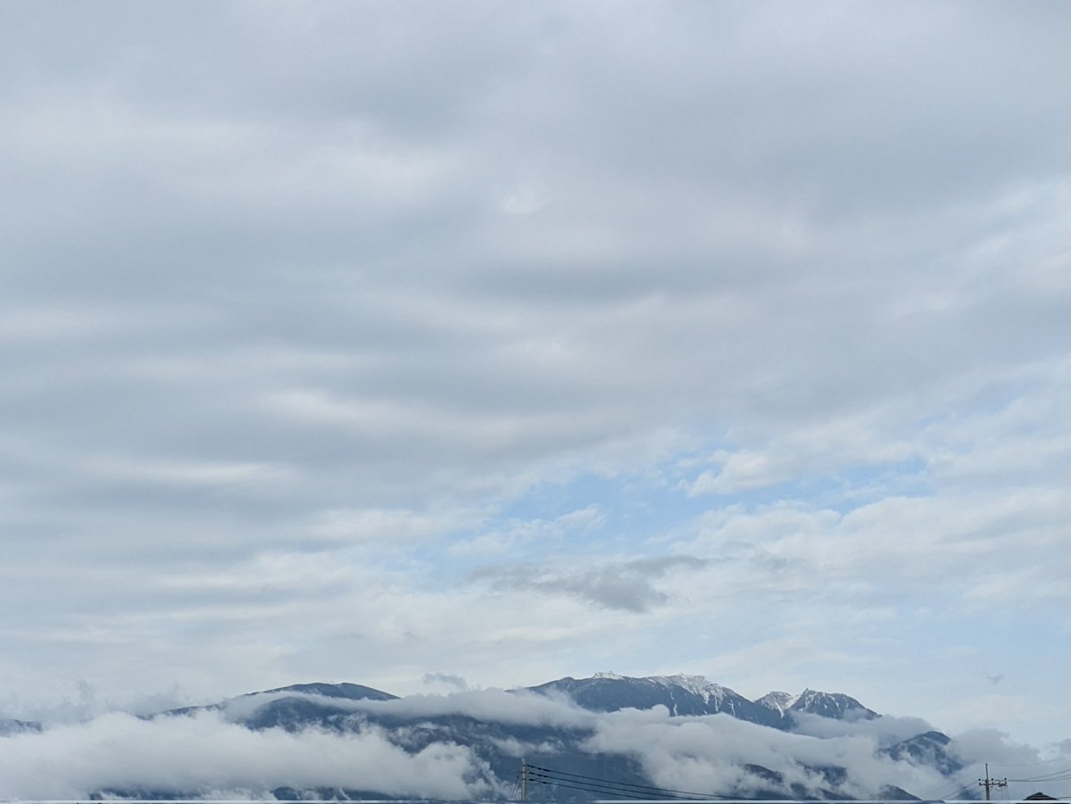 このはな🌱🌸 tweet media