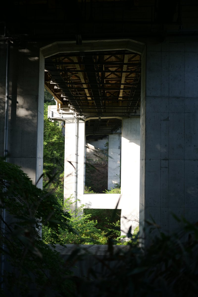 frak_ia's tweet photo. 荒井→太鼓曲輪ノ頭→唐沢山→地蔵峰→高尾駅

先月、荒井へ下りてきたときはGH5のアイカップを紛失して撮れなかった高速道路周り。少しの間、高速道路と並行して歩けて楽しい。今回は登りで通過、帰りのハイキングコース入り口で高架をくぐると見える橋脚も素敵。

smc macro takumar 50mm f4 https://t.co/VMuINO93Uc