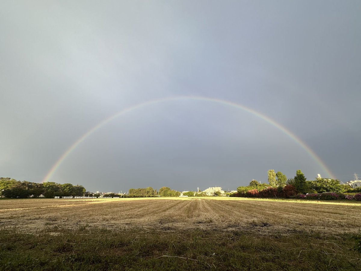 アブサラとし子（中野とし子）編み物で幸せになる！ tweet media