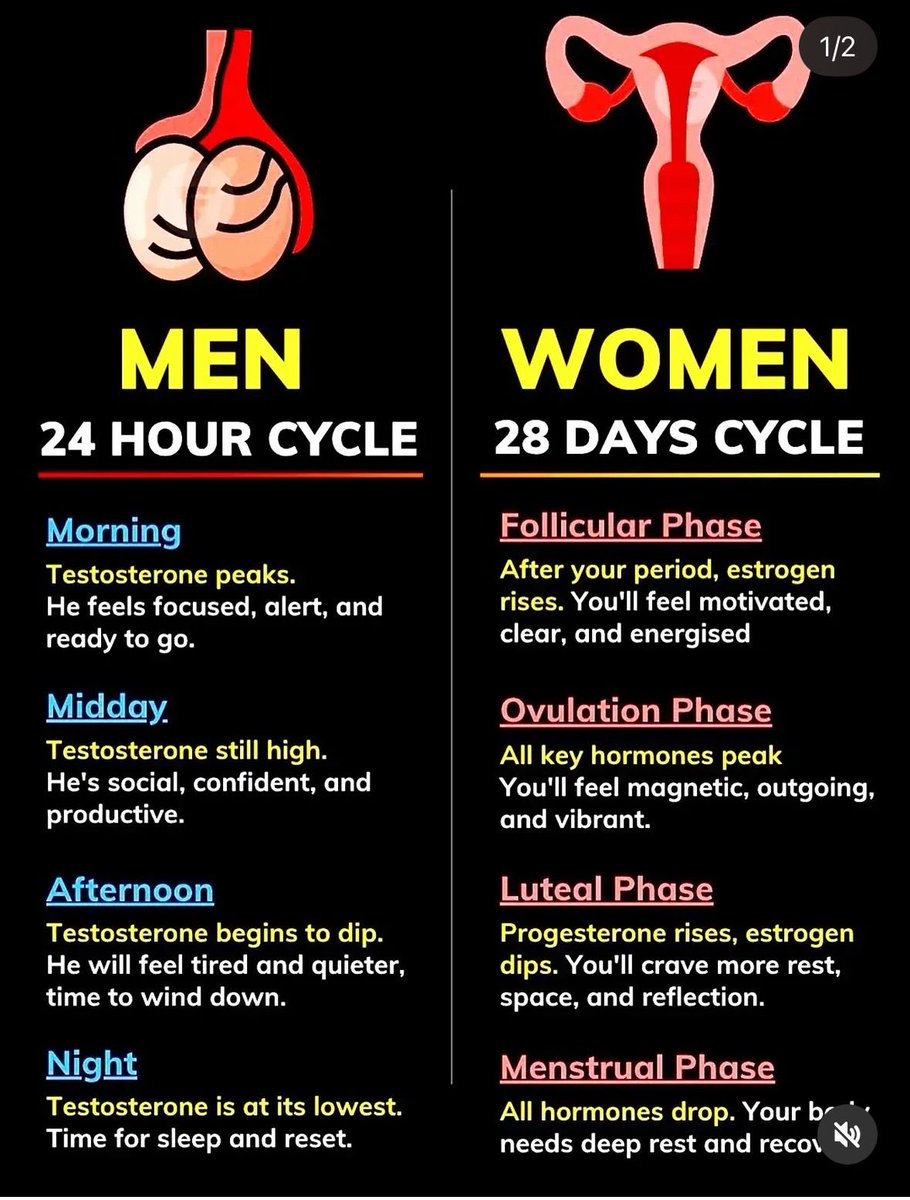 Health & Fitness tweet media