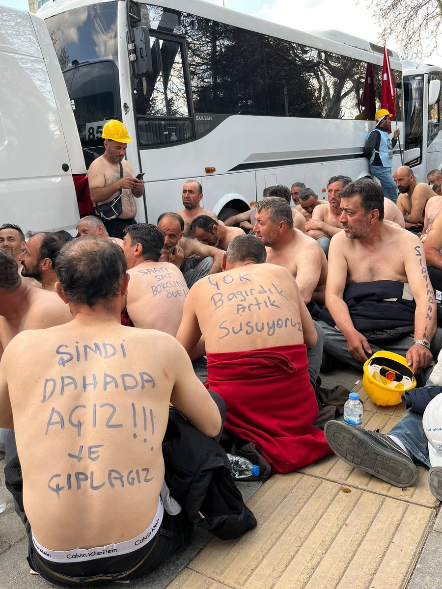 çitlembik zeyno tweet media