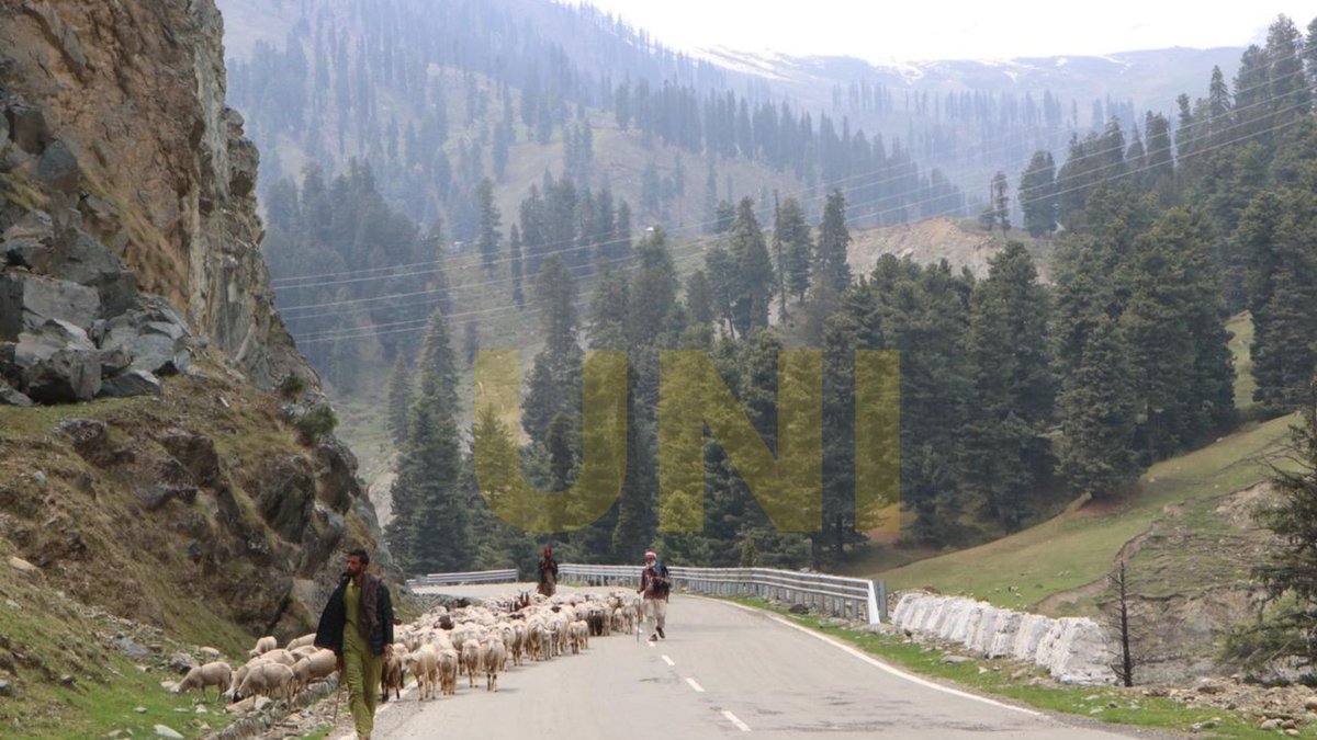 UNI_Photos's tweet image. In Photos | Scenes of daily life unfold as shepherds move flocks through hilly terrain while households rely on traditional wood-fired stoves in Shopian district.

📸: Shah Junaid / UNI

#JammuAndKashmir | #Shopian | #Shepherds | #UNI