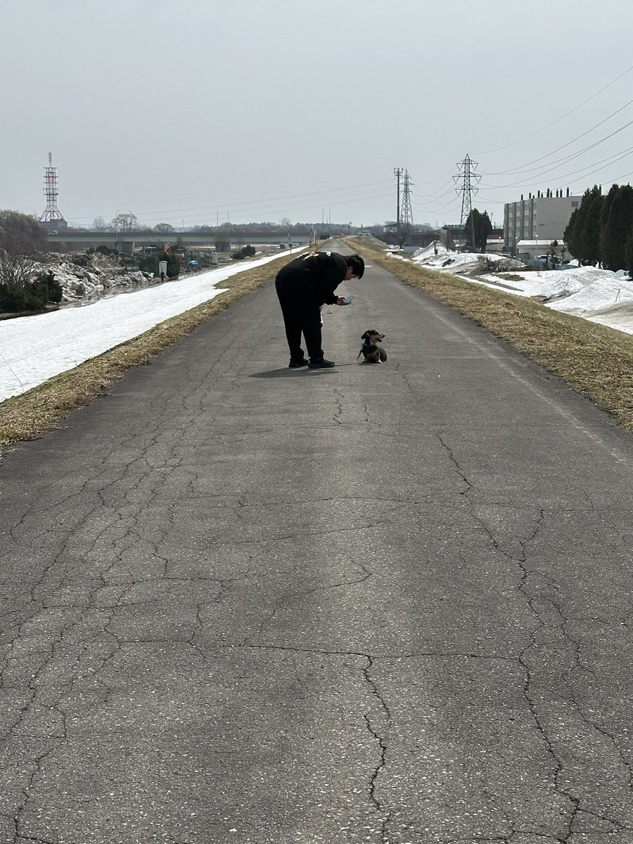 ast___19212704's tweet photo. いつもたくさんの幸せをありがとう🥺 https://t.co/AefWbPEzgY